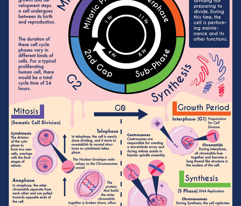Infographics